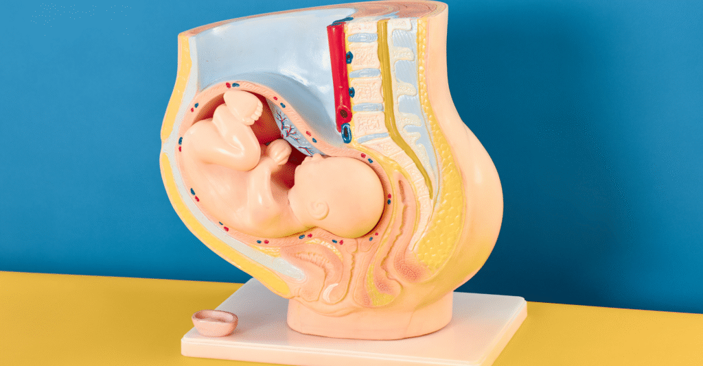 Infertility – कारण, लक्षण, जांच और Homeopathic Treatment untitled design (18)