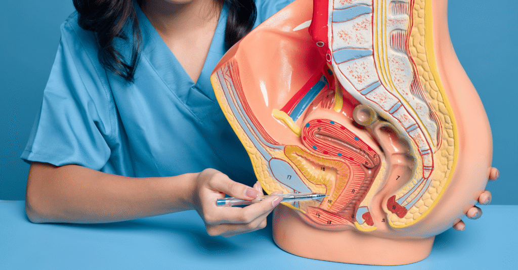 Infertility – कारण, लक्षण, जांच और Homeopathic Treatment Infertility Kya Hoti Hai?
1 saal tak regular relation ke bawajood pregnancy na hona
Ya baar-baar miscarriage hona
Ya conception me difficulty hona